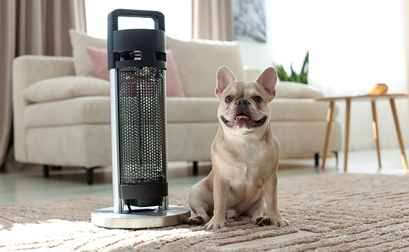 ヒーターの隣でくつろぐフレンチブルドッグ