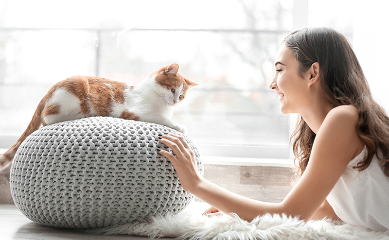 飼い主と遊ぶ猫