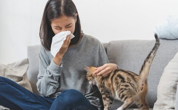 猫アレルギーは治る？