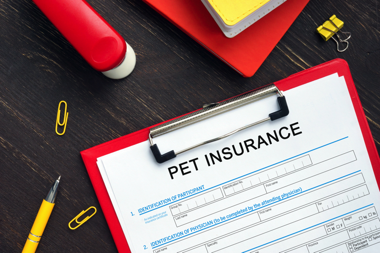 ペット保険の一生涯の保険料