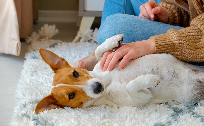 進捗状況を追跡する