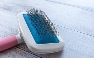 スリッカーブラシ