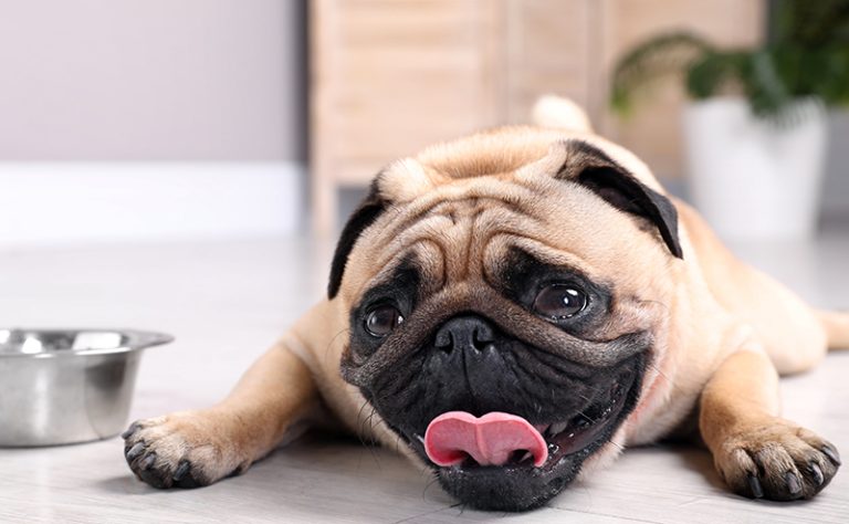 重度の脱水症状とその影響