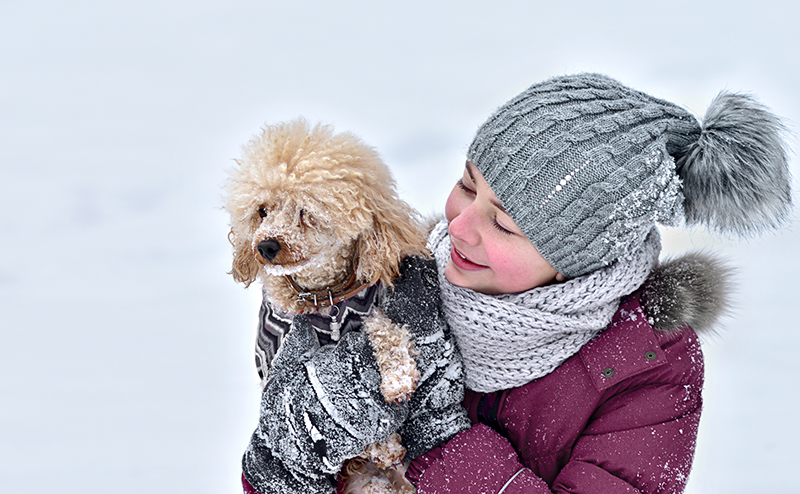 雪野原で飼い主に抱っこされる犬