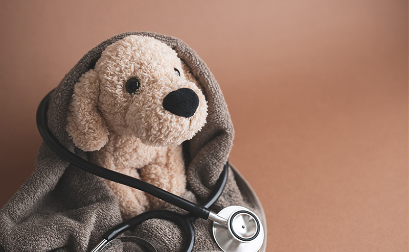 犬の糖尿病や白内障はペット保険で補償対象？