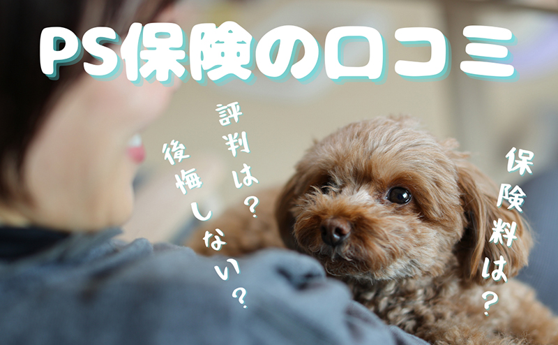 PS保険の口コミ