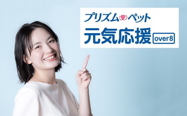 SBIプリズム少短「元気応援プランover8」のメリット・デメリット