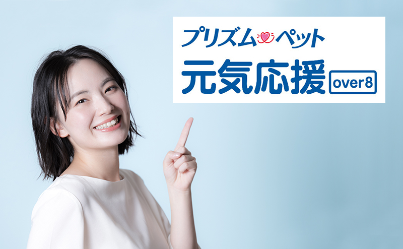 SBIプリズム少短「元気応援プランover8」のメリット・デメリット