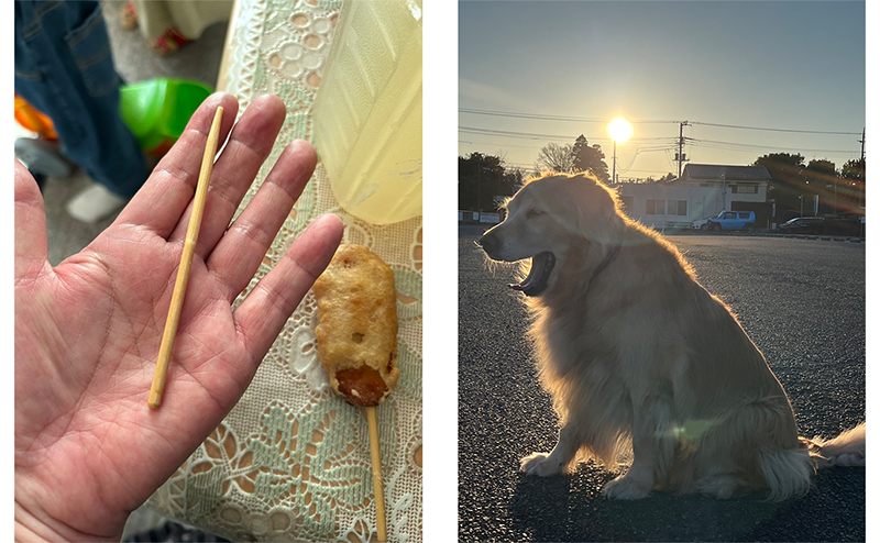 愛犬が誤飲してしまった串