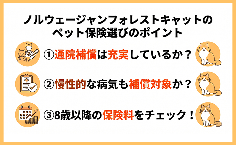 ノルウェージャンフォレストキャットのペット保険選び