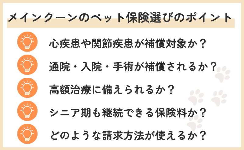 メインクーンのペット保険選び