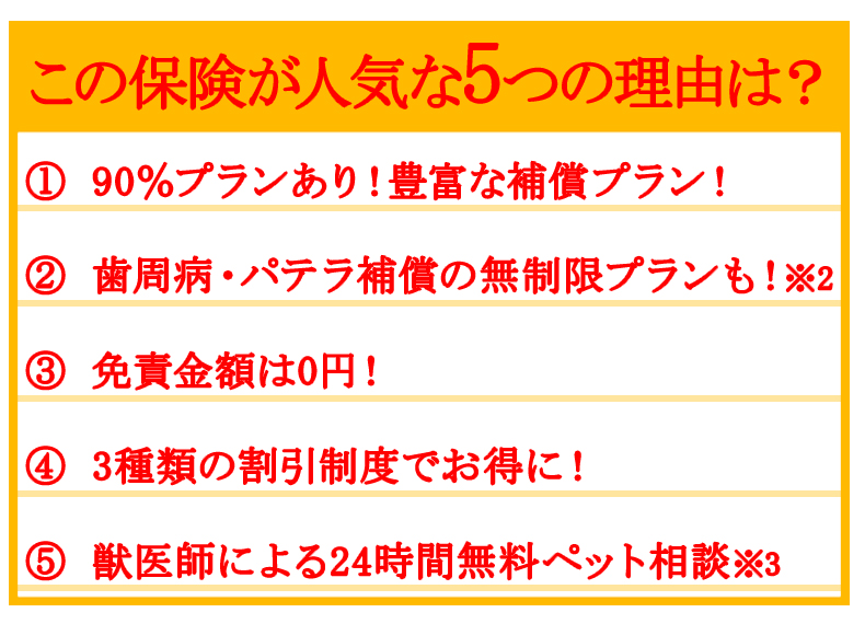 日本ペット少短が人気な理由