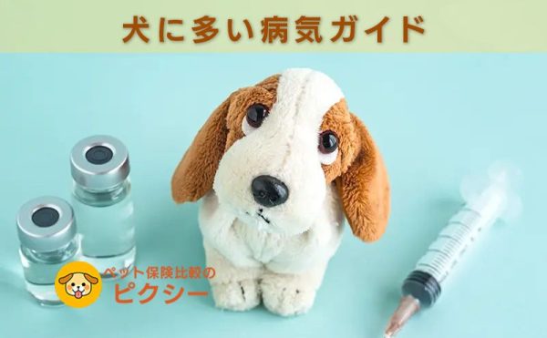 犬に多い病気ランキング