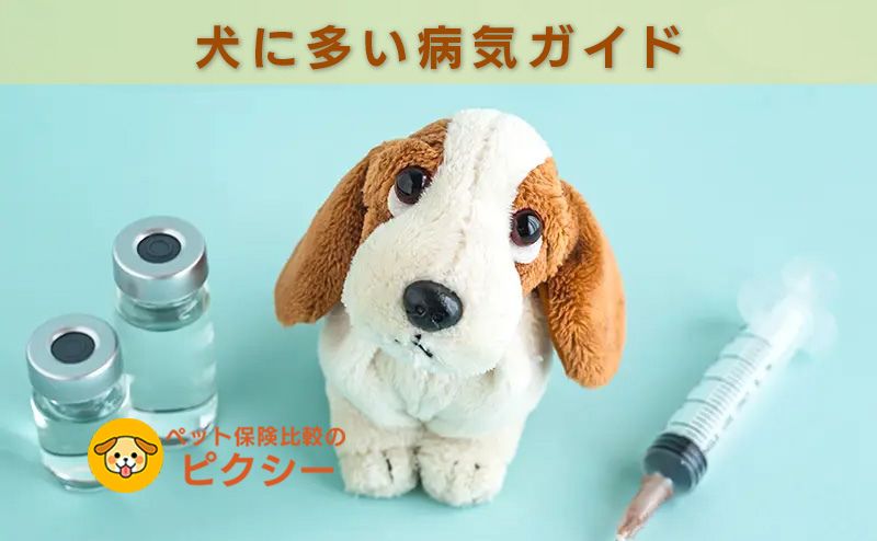 犬に多い病気ランキング