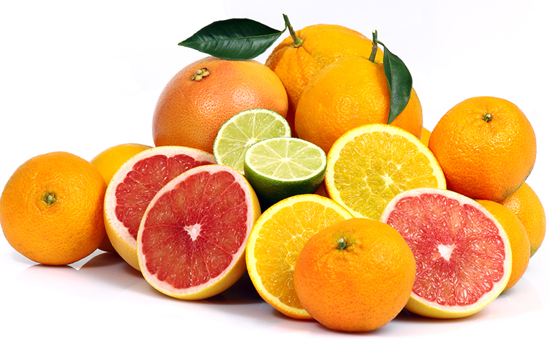 犬が食べられる柑橘類