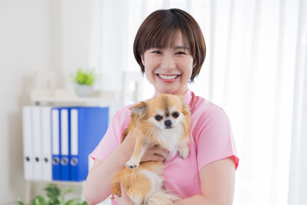 ペット保険はいらない？