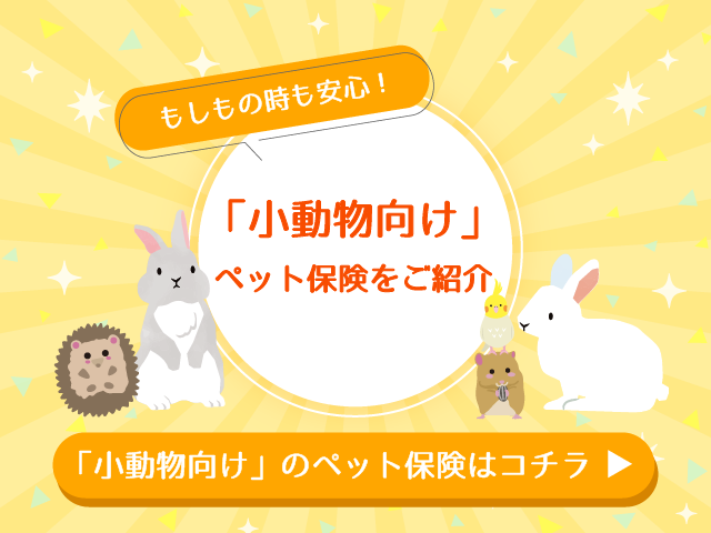 「小動物向け」ペット保険をご紹介 「小動物向け」のペット保険はコチラ