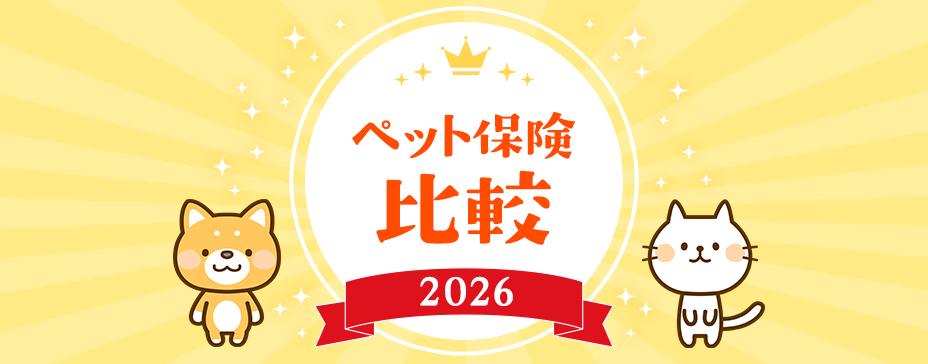 株式会社ピクシー