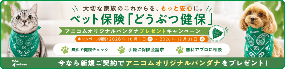 保険別バナー画像