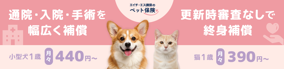 保険別バナー画像