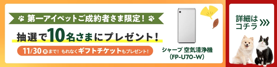第一アイペットのペット保険ご成約の方全員にペットの写真入りオリジナルグッズをプレゼント