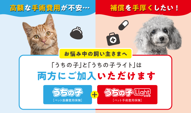 保険別バナー画像