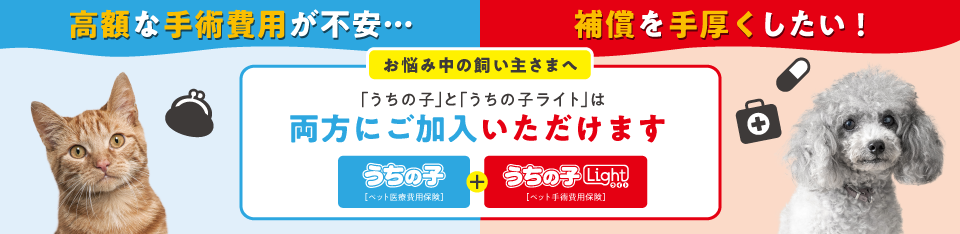 保険別バナー画像