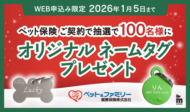 保険別バナー画像