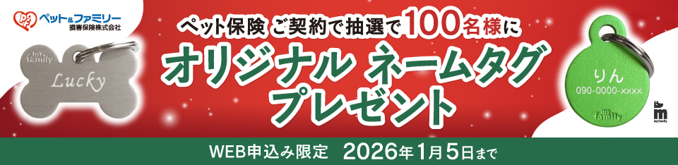 保険別バナー画像