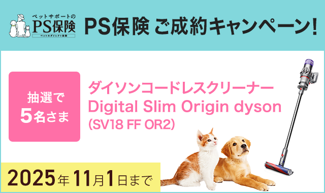 保険別バナー画像