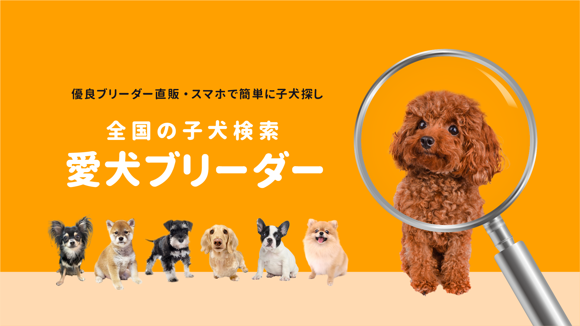 未来の家族がきっとみつかる