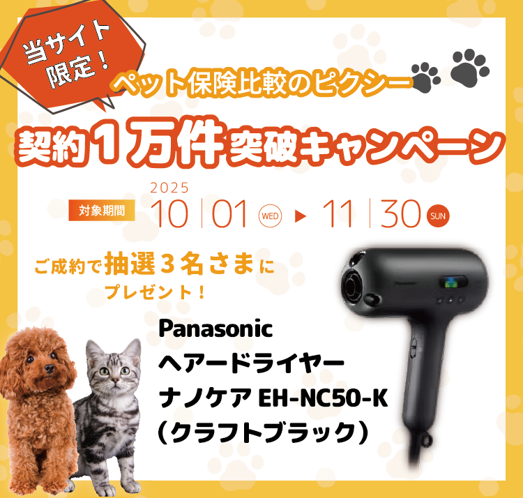 ペット保険比較のピクシー限定キャンペーン