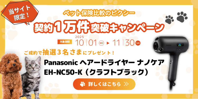 PS保険のペット保険ご成約の方から抽選で5名にプレゼントキャンペーン実施中