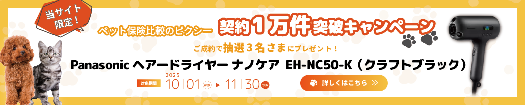 PS保険のペット保険ご成約の方から抽選で5名にプレゼントキャンペーン実施中