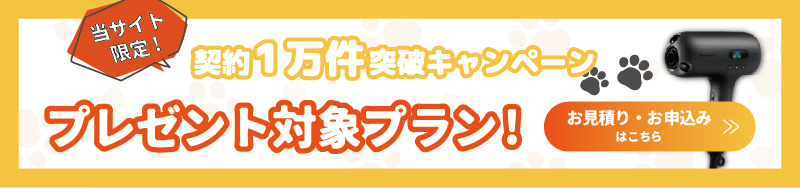 10000人突破キャンペーン広告