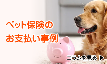 「ペット保険のお支払い事例」