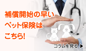 補償開始の早いペット保険はこちら!
