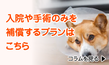 入院や手術のみを補償するプランはこちら