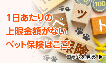 1日あたりの上限金額がないペット保険はここ!