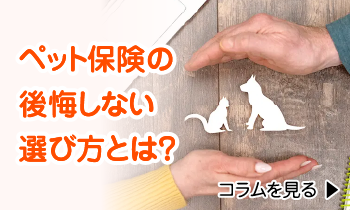 ペット保険の後悔しない選び方とは?