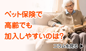 ペット保険で高齢でも加入しやすいのは?