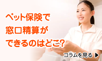 ペット保険で窓口精算ができるのはどこ?