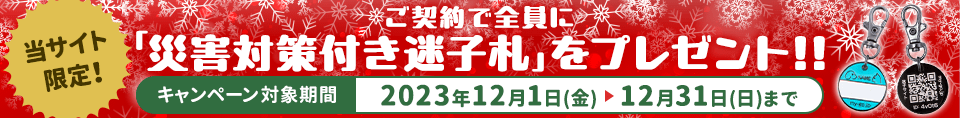 キャンペーンページ広告